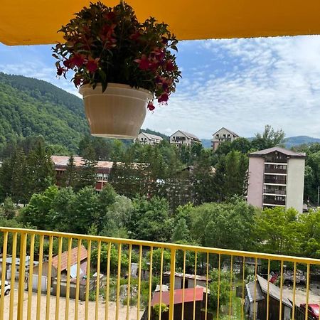 Anissia Apartament Leilighet Sinaia Eksteriør bilde