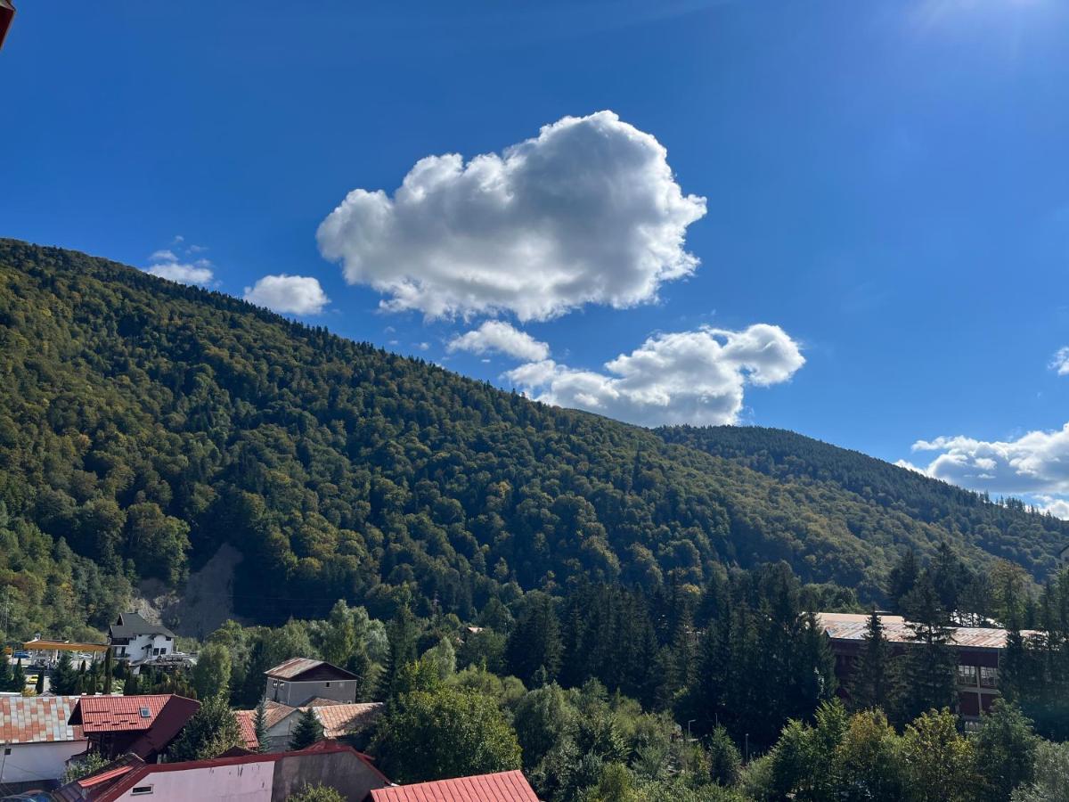 Anissia Apartament Leilighet Sinaia Eksteriør bilde