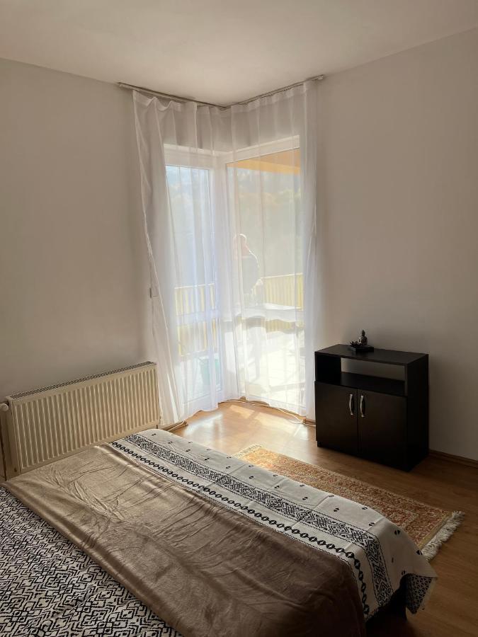 Anissia Apartament Leilighet Sinaia Eksteriør bilde
