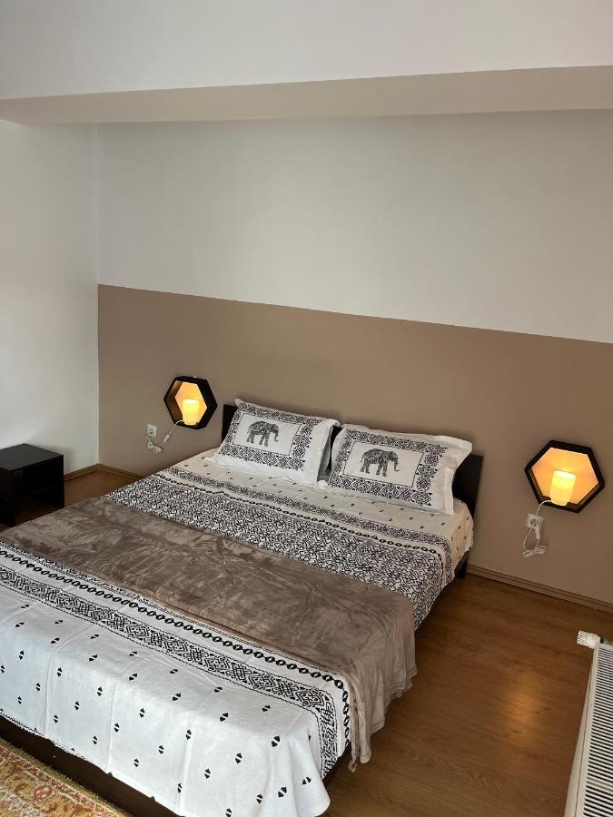 Anissia Apartament Leilighet Sinaia Eksteriør bilde