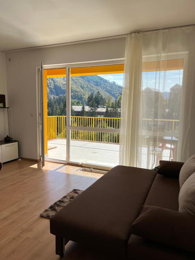 Anissia Apartament Leilighet Sinaia Eksteriør bilde