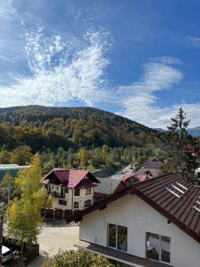 Anissia Apartament Leilighet Sinaia Eksteriør bilde