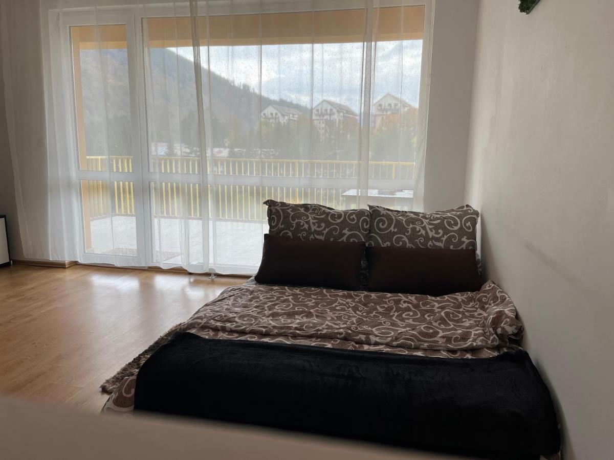 Anissia Apartament Leilighet Sinaia Eksteriør bilde