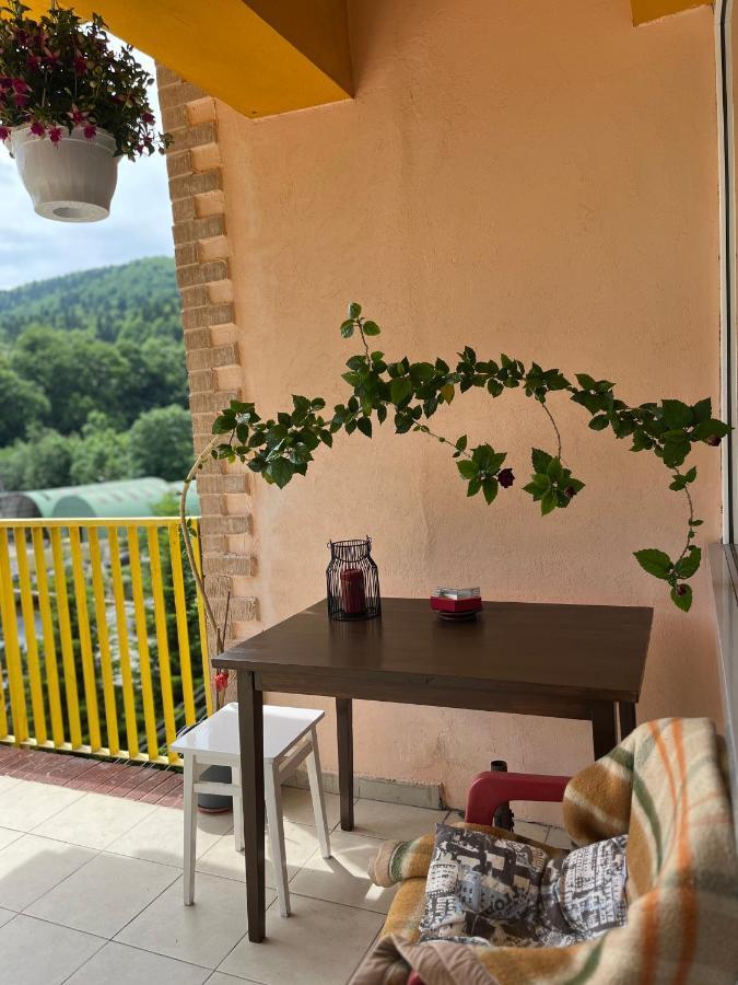 Anissia Apartament Leilighet Sinaia Eksteriør bilde