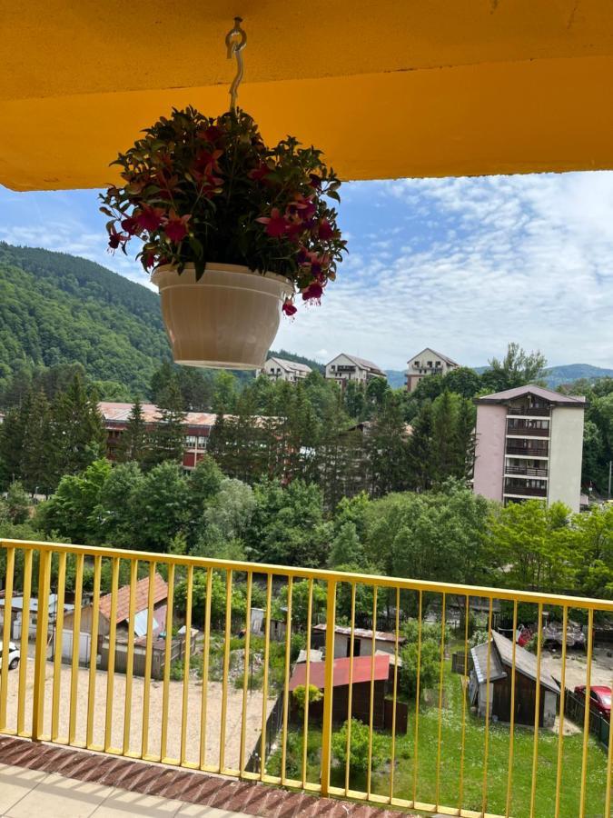 Anissia Apartament Leilighet Sinaia Eksteriør bilde