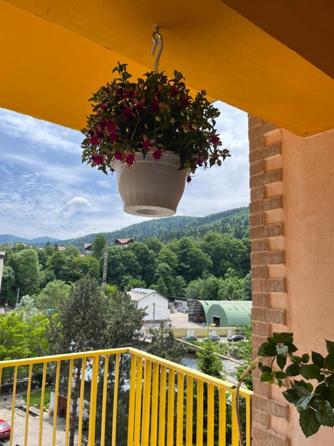 Anissia Apartament Leilighet Sinaia Eksteriør bilde